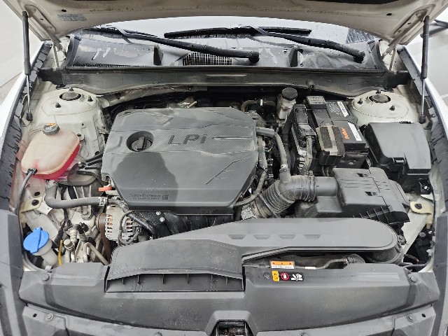 lotterental_142058838_1j2rO_7.jpg