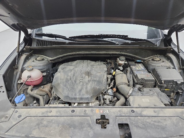 lotterental_102856516_OBSFZ_8.jpg