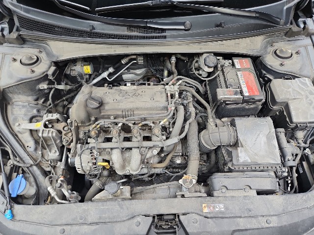 lotterental_102756673_WseyB_7.jpg