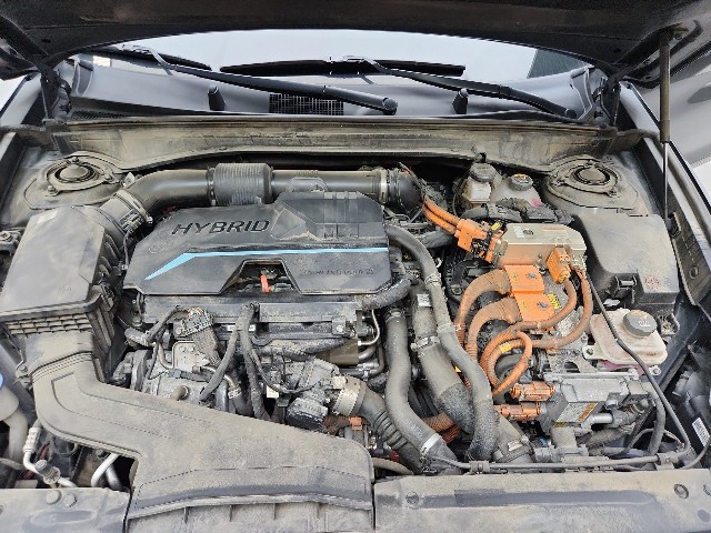 lotterental_144337831_LuTfQ_10.jpg