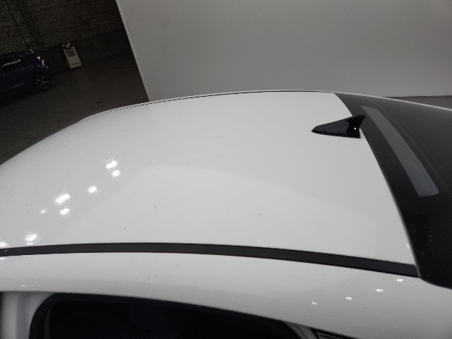 lotterental_140806305_S5Lmp_8.jpg