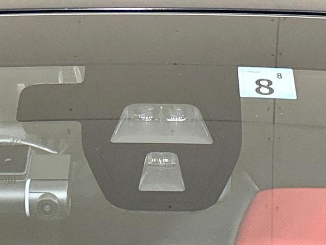 21910268_carP_l_10.jpg