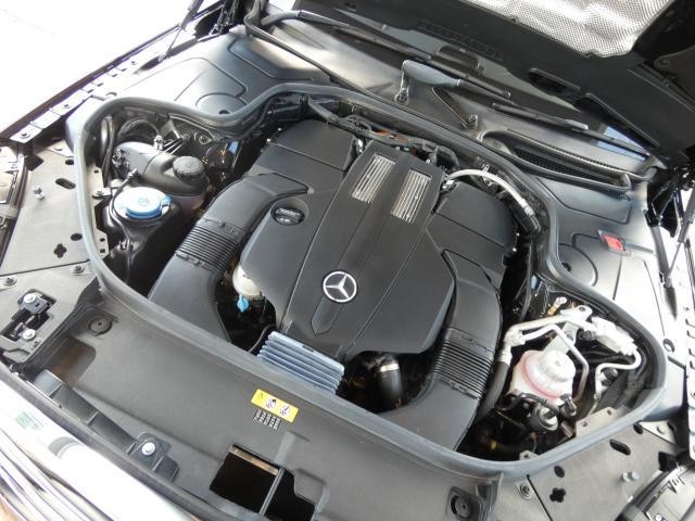 27031607_carP_l_20.jpg