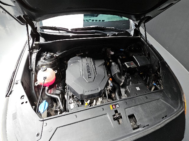 d544ff73e146656c392eb8f4476e20fe.jpeg