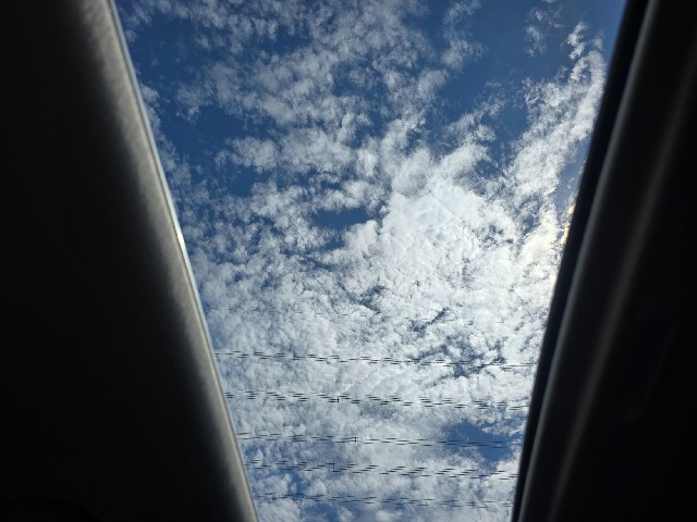 a4dd2636cec217191857d8f1d959bfa8.jpeg