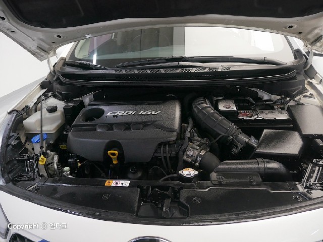 4031501556R5.jpg
