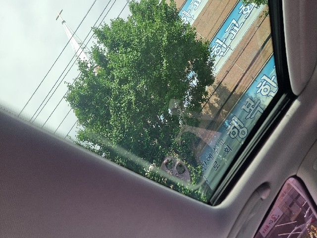 070084733ef2add589d3e6a9350d4a51.jpeg