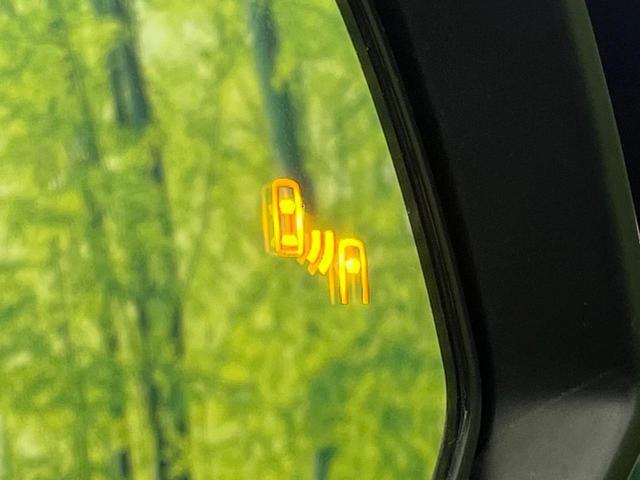 21672017_carP_l_14.jpg