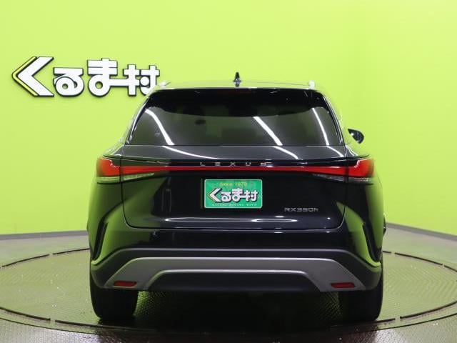 19703660_carP_l_18.jpg