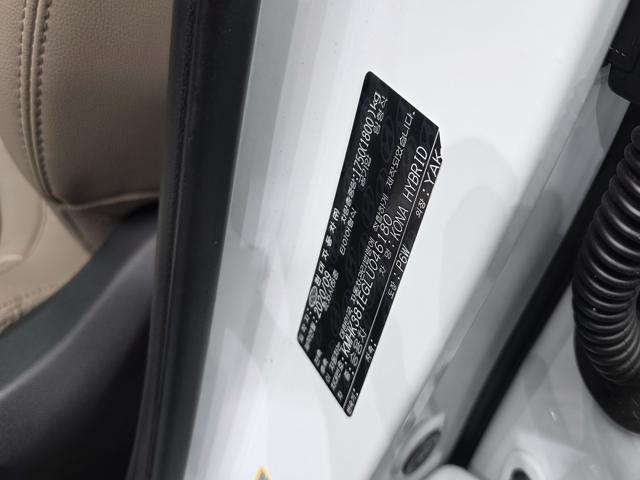 c081b03f95e7111840edb652287024d9.jpeg
