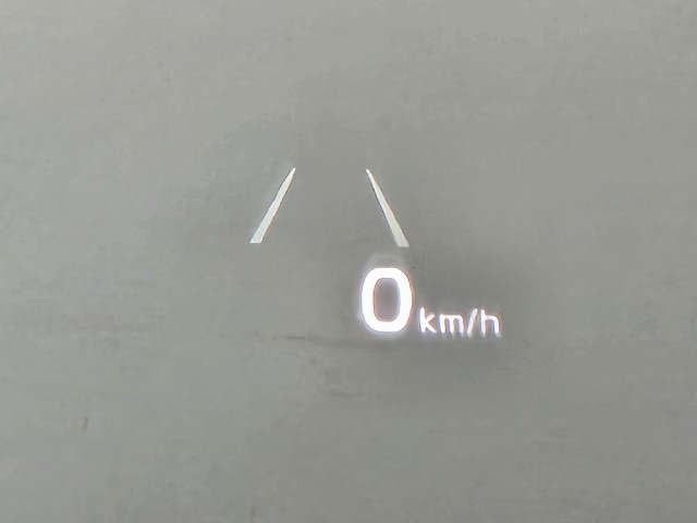 25e3530ede8a7f875f20021dd51f3f41.jpeg