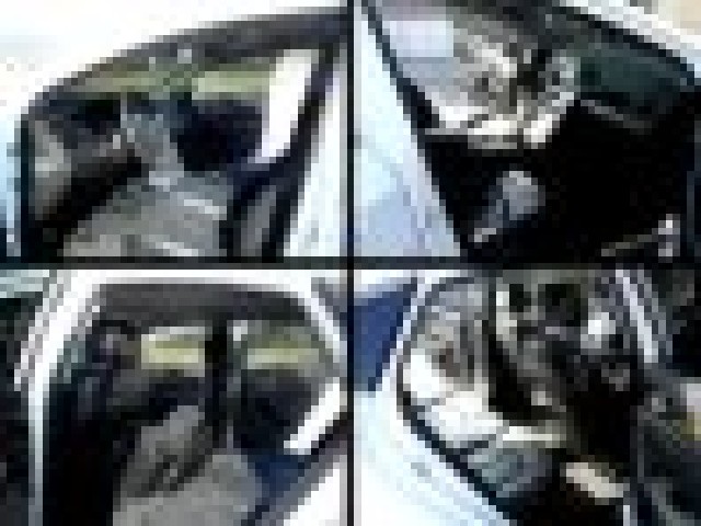 2dcc4a71137c827ce39d79c6a24badfa.jpeg