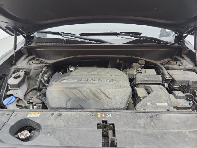 lotterental_150814926_nMDSm_7.jpg