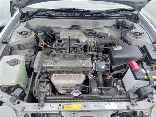 08.jpg