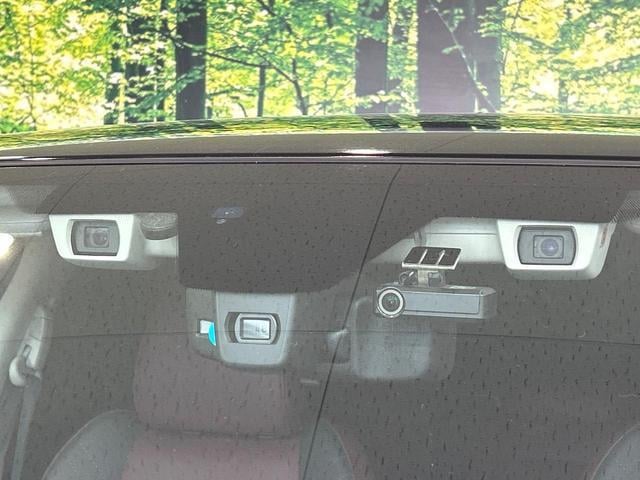 17996109_carP_l_10.jpg