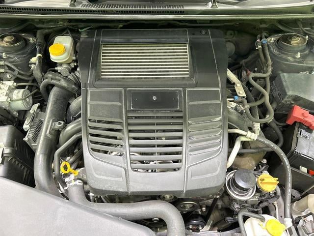 17996109_carP_l_16.jpg