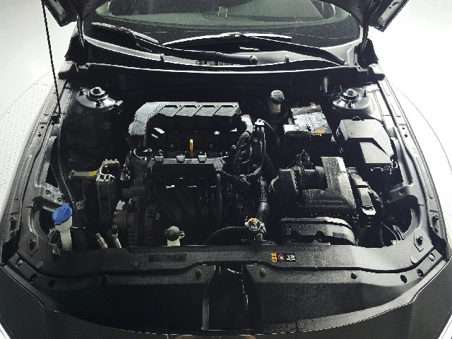 e9117ce48c481d6b07e5c4f4c46903cf.jpeg