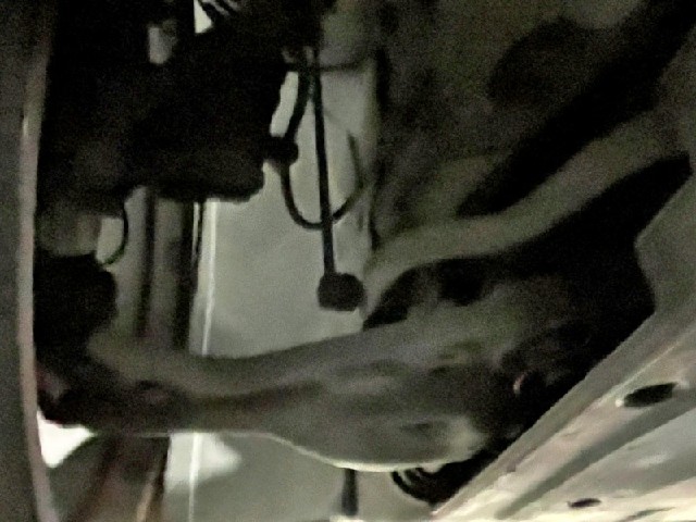 a49529243c6b2fd799d84a59099e13b0.jpeg