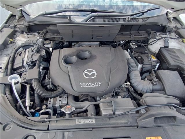 08.jpg