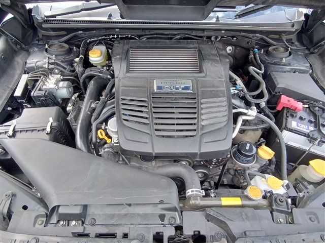 08.jpg