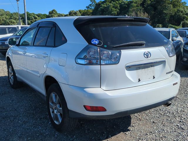 05.jpg