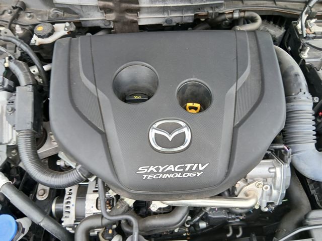 08.jpg