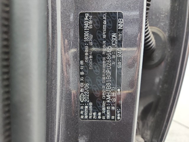lotterental_174456879_CKDIg_6.jpg