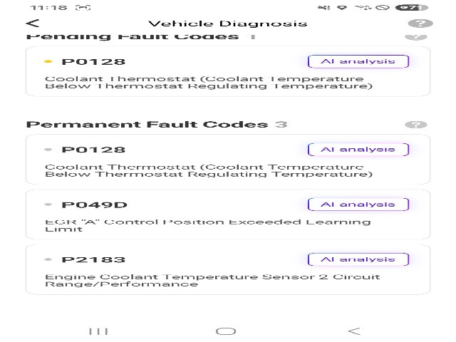lotterental_172608732_Tf0Yw_3.jpg