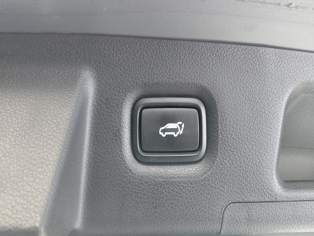 f4602da23865f8966cee3616d8da4264.jpeg