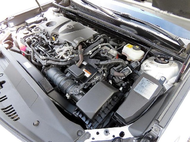 cbcf3af66fda70f6bcd9cc8ff50d739f.jpeg