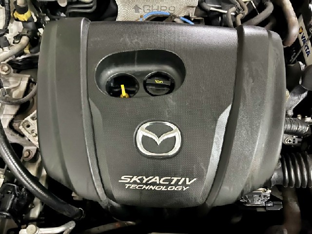 964b410bac8e7c242476956fdfa59337.jpeg