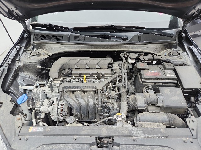 lotterental_194205211_2G2s9_5.jpg