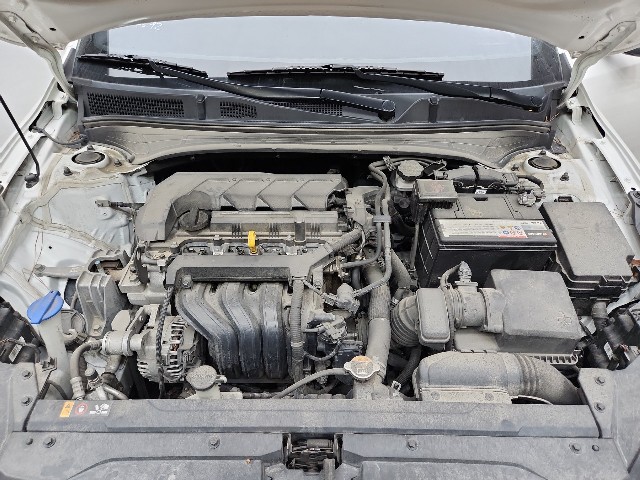 lotterental_18233335_tWqTR_10.jpg