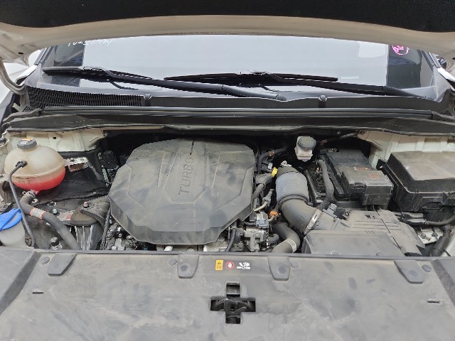 lotterental_181043849_R240Z_10.jpg