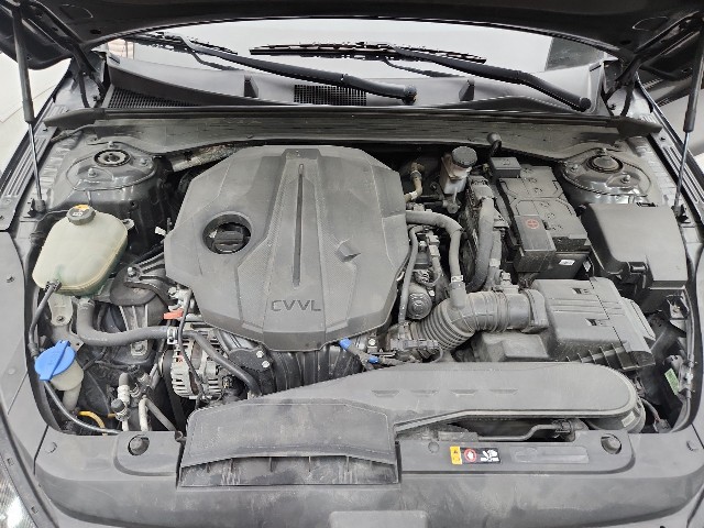 lotterental_114730304_cp3TK_9.jpg