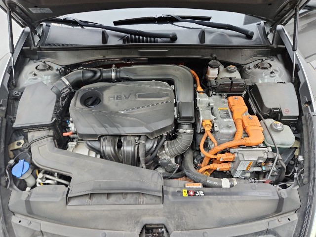 lotterental_13064731_ej8fM_10.jpg