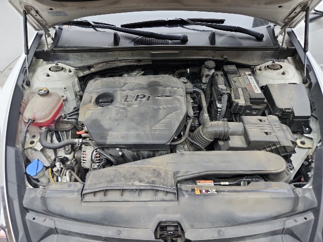 lotterental_132755566_xXYxi_7.jpg