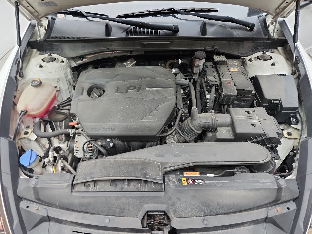 lotterental_132144691_OyrH8_8.jpg