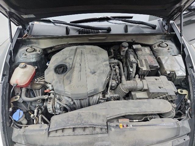 lotterental_133213250_Gzlmz_7.jpg