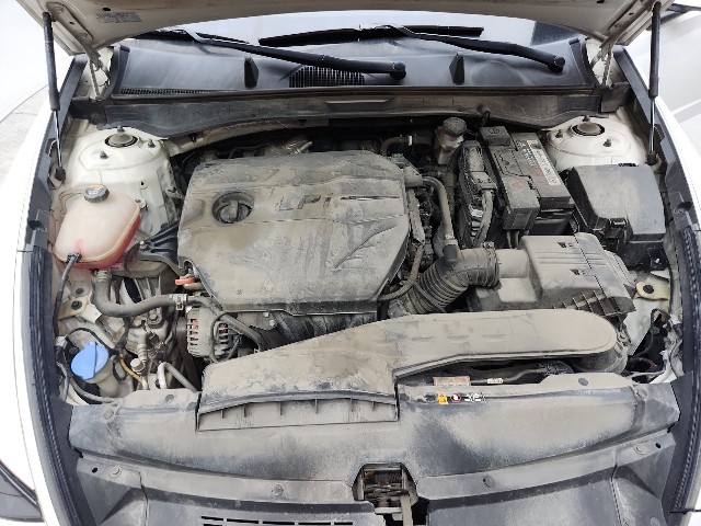 lotterental_132406879_7Zxvp_10.jpg