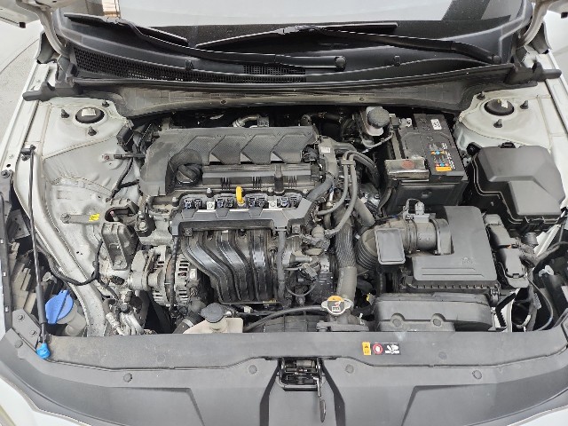 lotterental_133109186_525tm_10.jpg