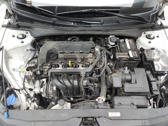 lotterental_132259907_ReuzJ_9.jpg