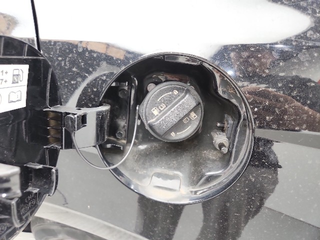 lotterental_131856686_U3VhI_8.jpg