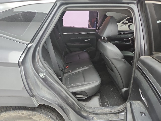 lotterental_131400272_AlGDq_10.jpg