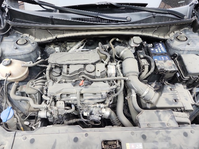lotterental_131417339_Hyy1V_8.jpg