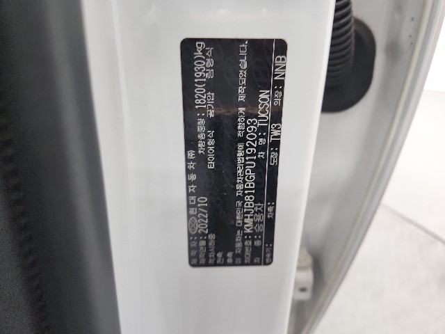 lotterental_132839819_Pi7Wv_6.jpg