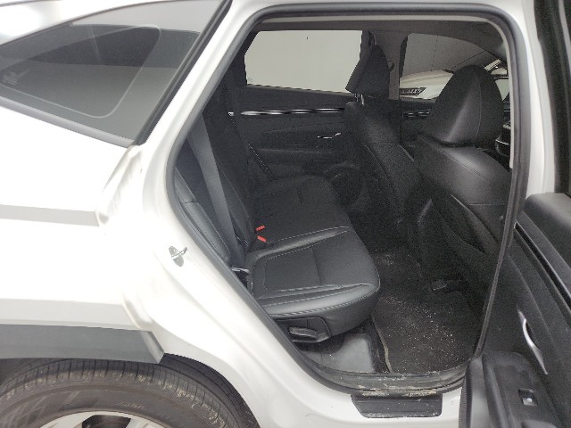 lotterental_13284058_n6ZIT_10.jpg