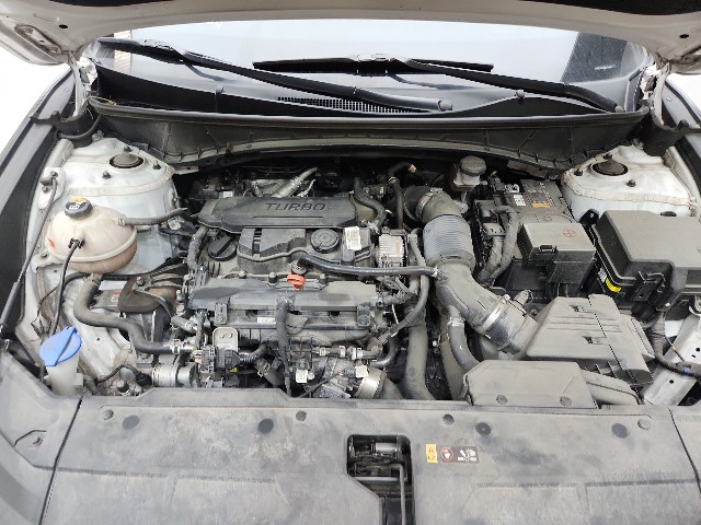 lotterental_132901584_Rn163_7.jpg