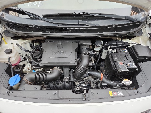 lotterental_131803586_Pr7a1_6.jpg