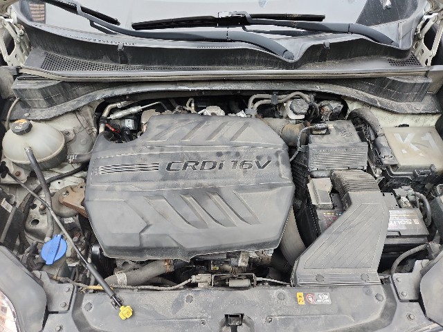 lotterental_130351704_NIATq_9.jpg